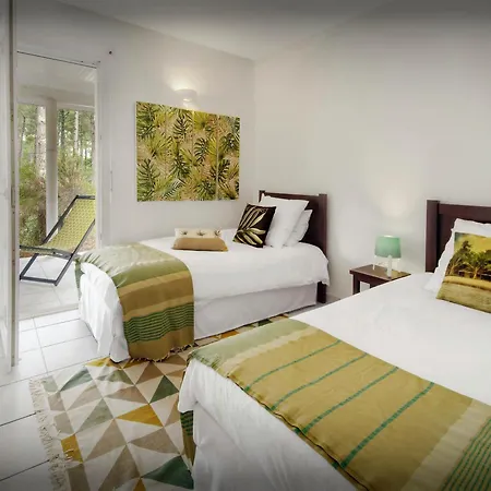 Samasti - Ovo Network * Lacanau