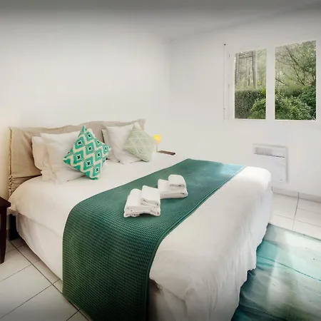 Samasti - Ovo Network * Lacanau