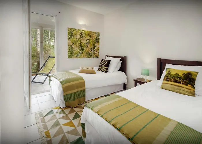 Samasti - Ovo Network * Lacanau