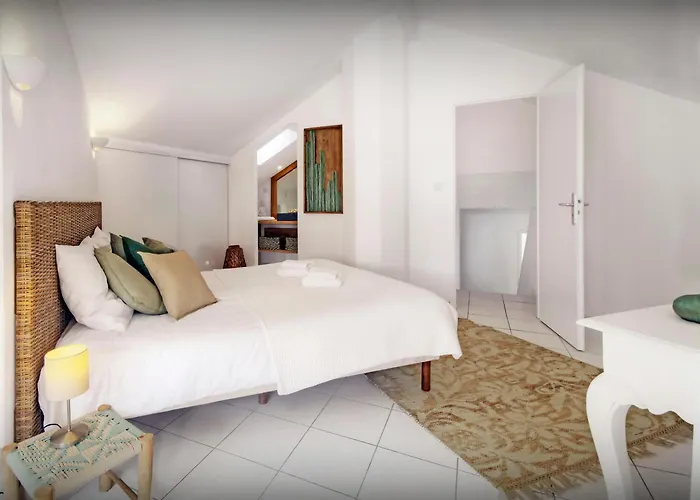 Samasti - Ovo Network * Lacanau